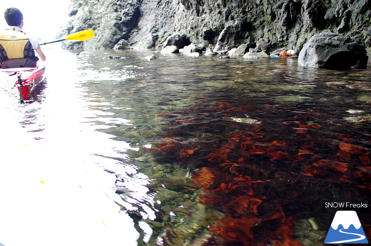 真夏の北海道・小樽塩谷 シーカヤックで目指せ『青の洞窟』！